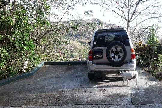 House's parking lot view from driveway